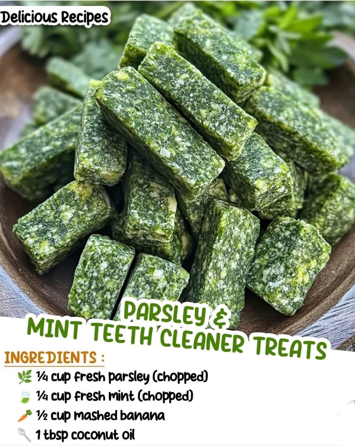 Holiday gifts from the ❤️ for Puppies & Dogs 1 IMG 0746 1