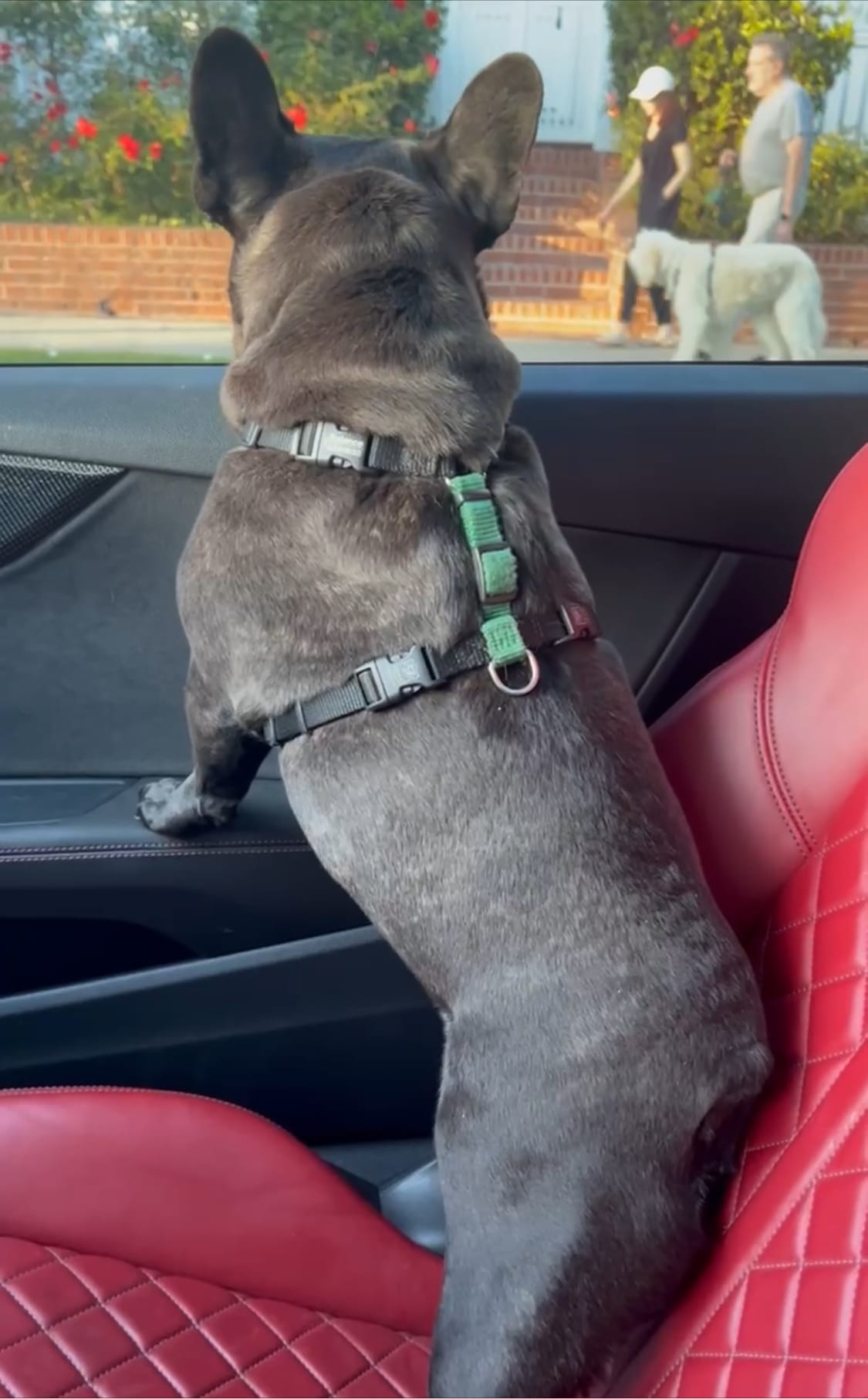 Socialization Spots on the Westside 1 IMG 9781