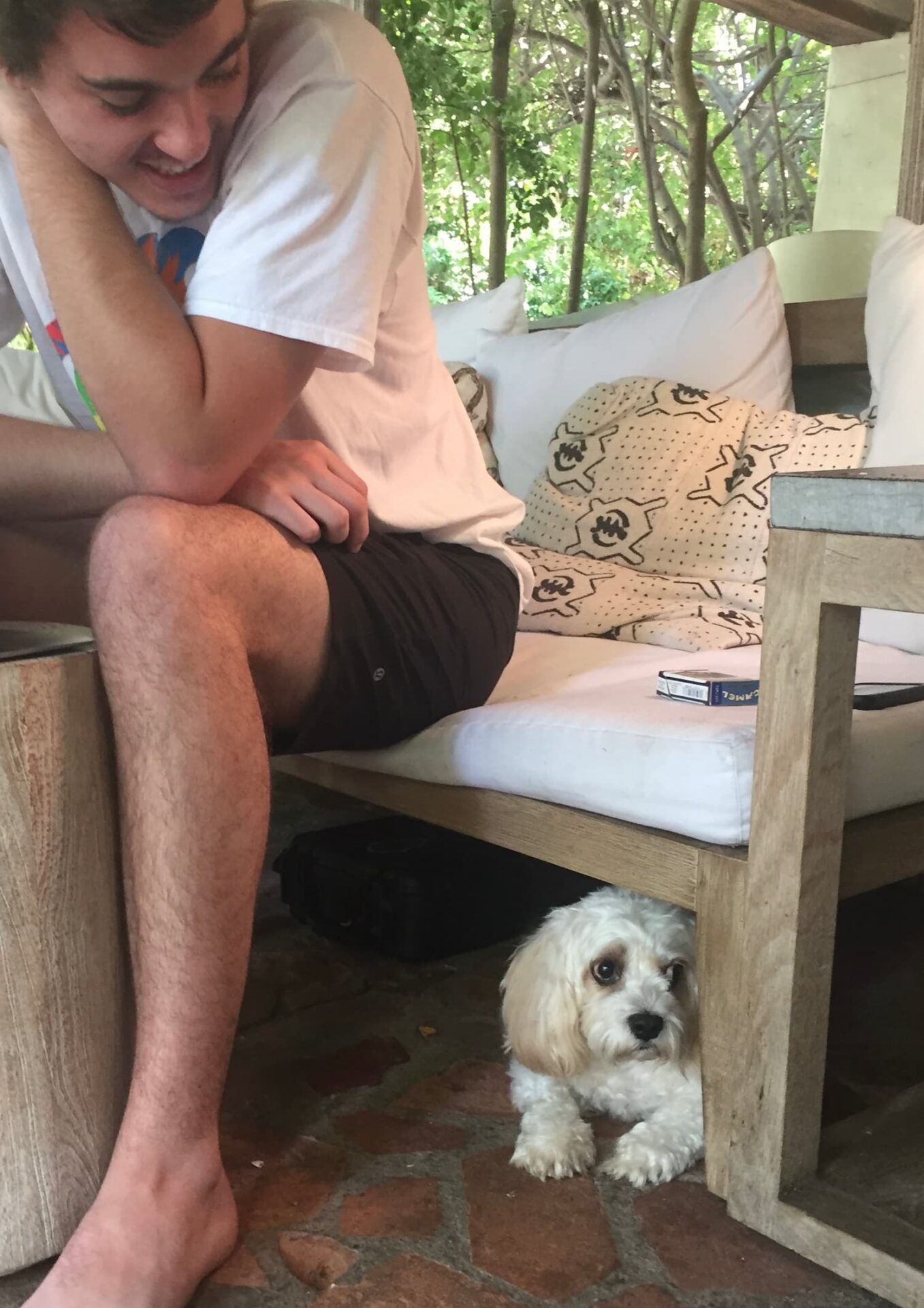 Sound Therapy for Fearful, Anxious, and Reactive Dogs 4 image1